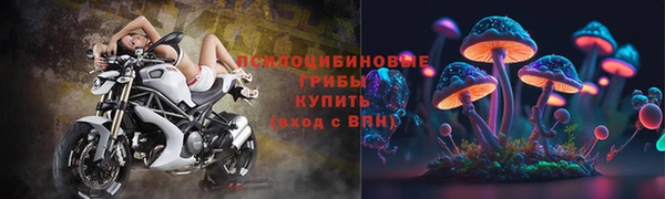 ALPHA PVP Баксан