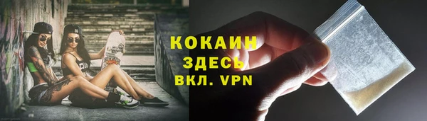 сатива Михайлов