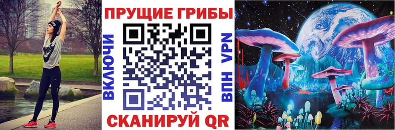 Псилоцибиновые грибы мицелий  даркнет Telegram  Астрахань 