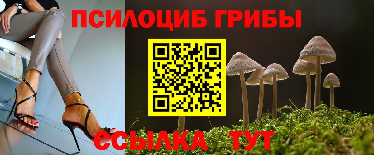 Астрахань  Галлюциногенные грибы прущие грибы  Вход с VPN 