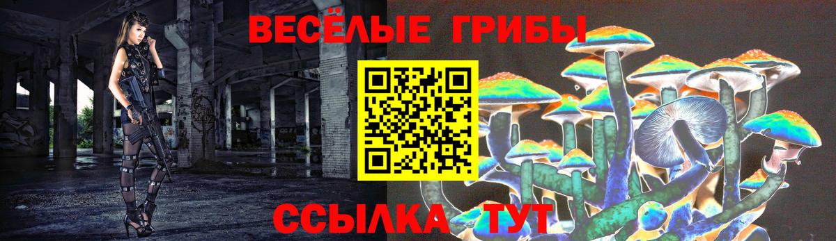 Галлюциногенные грибы прущие грибы  Астрахань 