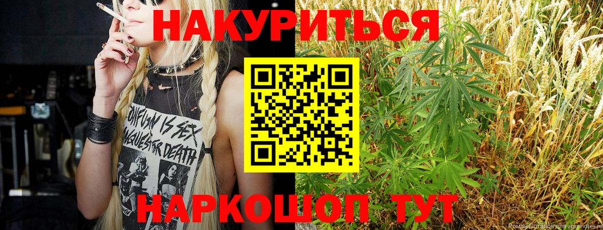 Конопля марихуана Астрахань